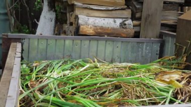 Çiftçi organik atıkları gübre çukuruna boşaltıyor.