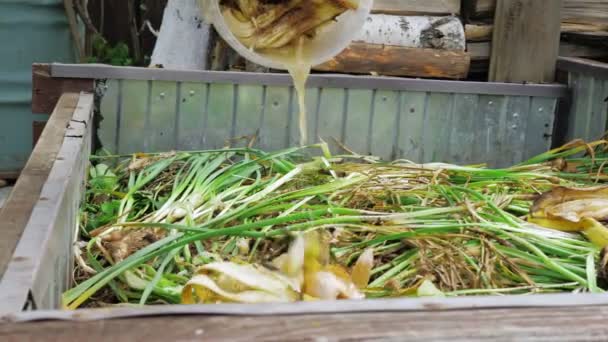 Agricultor despeja resíduos orgânicos em um poço de composto — Vídeo de Stock