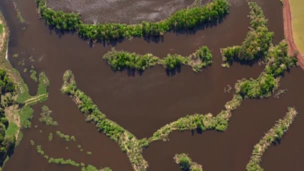 The bed of the forest river is dredged by dredge. Aerial view — Stock Video
