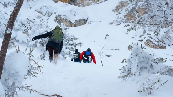 Bir grup turist karla kaplı bir dağın tepesine çıkıyor..