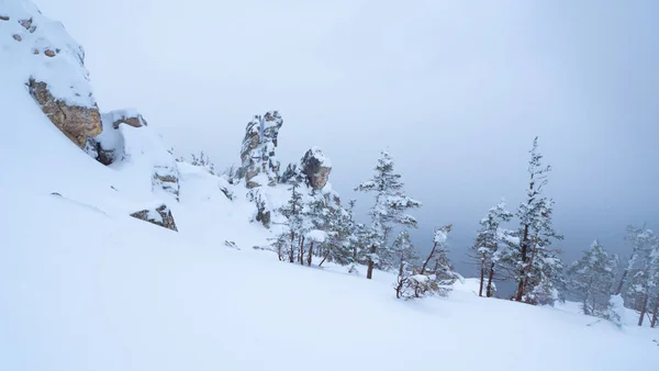 Güney Urallar 'daki Taganai Ulusal Parkı' nın karla kaplı zirveleri.