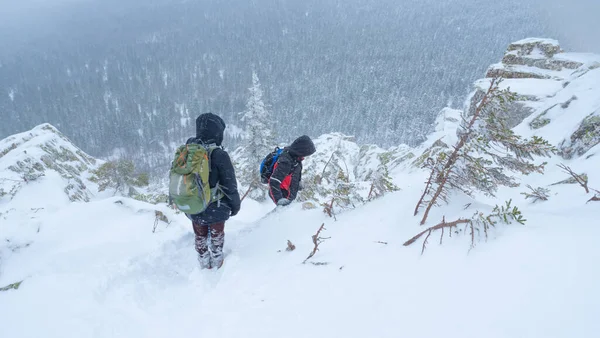 Bir grup turist karla kaplı bir dağın tepesinden iniyor..