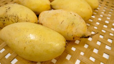 Popüler Tropikal Meyveler. Beyaz arka planda sarı mangolar.