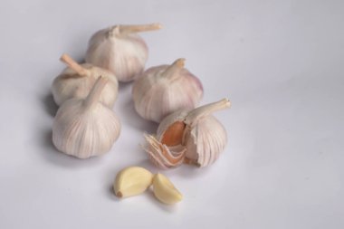 Beyaz arkaplanda kurumuş Galic