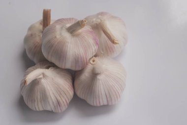 Beyaz arkaplanda kurumuş Galic