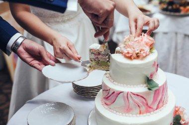 Gelin ve Damat Düğün Ziyafet ile rustik düğün pastası kesti 