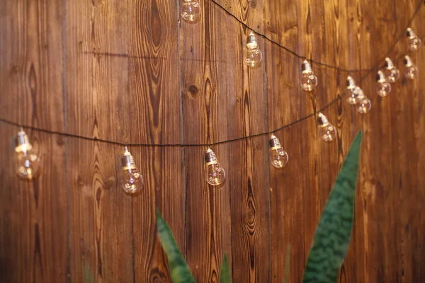 Ampoules rétro sur fond bois avec verdure dans la zone de weddin — Photo