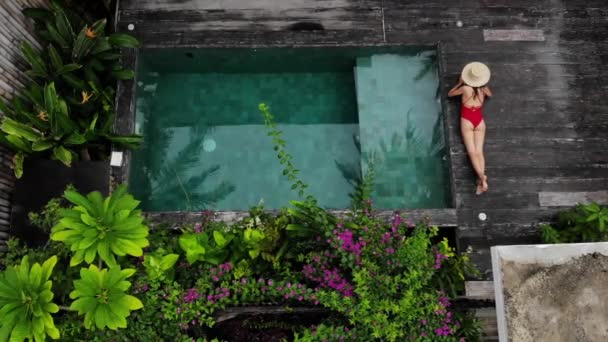 Enjoying suntan. Vacation concept. Aerial drone view of slim young unrecognizable woman in red bikini and straw hat lying near swimming pool in jungle. Back view — Stock Video