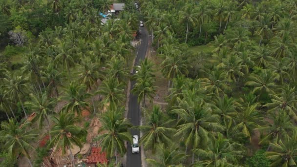 Bovenaanzicht van de weg tussen reusachtige palmbomen, auto 's en scooters langs de open weg. Luchtfoto volgen 4k Drone Beeldmateriaal zoomen, Op het platteland Nusa Penida Bali Indonesië — Stockvideo