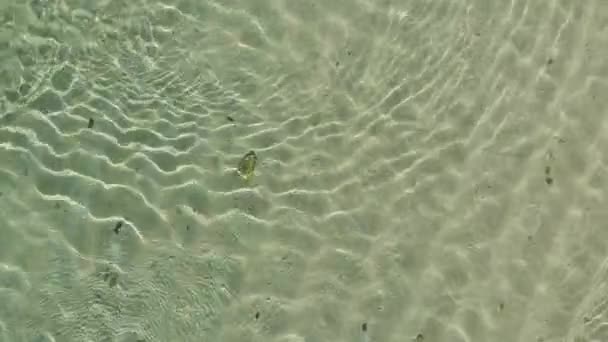 Aerial Drone top down Widok zielonej wody morskiej tekstury. 4k Tło Azure ocean krystalicznie czysta woda z falą na powierzchni. — Wideo stockowe