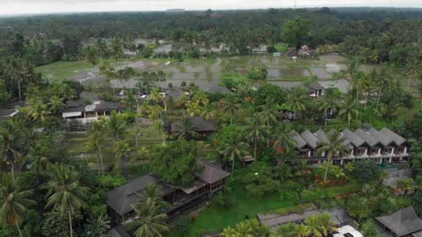Zoom înapoi Vedere aeriană a hotelului de lux cu vile pe acoperiș de paie și piscine în junglă tropicală și palmieri. Vilă de lux, pavilion în pădure, Ubud, Bali — Videoclip de stoc