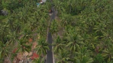 Dev palmiye ağaçları, arabalar ve açık yol boyunca scooterlar arasındaki yolun en üst görüntüsü. Hava takibi 4k İHA görüntüsü yakınlaşıyor kırsal Nusa Penida Bali Endonezya