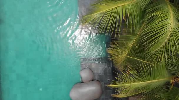 Vuelo aéreo Drone Vista del agua azul en la piscina infinita de lujo y palmeras tropicales. Lujosa villa, piscina. Vacaciones de viaje — Vídeos de Stock