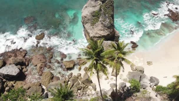 Flygdrönare utsikt över tropiska stranden, hav stenar, turkos hav och kvinna svänger mellan palmer. Stranden Atuh, ön Nusa Penida, Bali, Indonesien. — Stockvideo