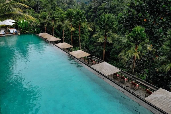 Légi kilátás luxus végtelen medence trópusi dzsungelben és pálmafák. Luxus villa, medence az erdőben, Ubud, Bali — Stock Fotó