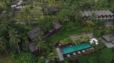 Tropikal ormanlarda, palmiye ağaçlarında, pirinç tarlalarında saman çatı villaları ve havuzu olan lüks otelin havadan görüntüsü yükseliyor. Lüks villa, ormandaki pavyon, Ubud, Bali