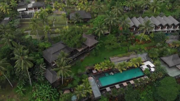 Rosnący widok z lotu ptaka na luksusowy hotel ze słomianymi willami na dachu i basenem w tropikalnej dżungli, palmy, pola ryżowe. Luksusowa willa, pawilon w lesie, Ubud, Bali — Wideo stockowe