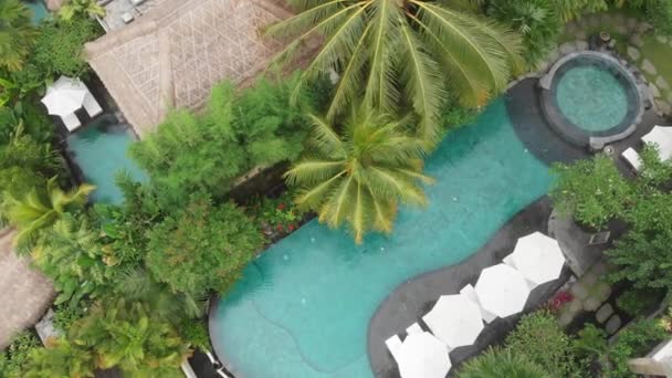 Aerial Drone Flight top down View of luxury hotel with straw roof villas and pools in tropical jungle and palm trees. Luxurious villa, pavilion in forest, Ubud, Bali — Stock Video