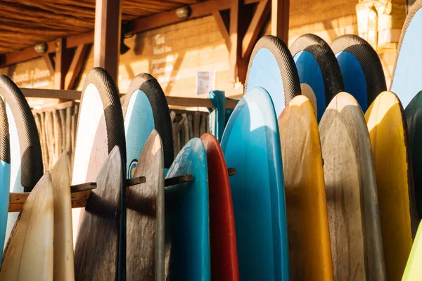 Ensemble de planches de surf de différentes couleurs dans une pile par ocean.Bali.Indonesia. Planches de surf sur une plage de sable fin à louer. Cours de surf sur la plage de Weligama, Sri Lanka. — Photo