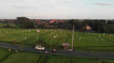 Pirinç ağaçları üzerinde uçan hava aracı ve kırsal alanda motosikletli yol. Canggu, Bali, Endonezya 'da pirinç tarlaları..