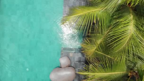 4K aérien de survoler turquoise piscine à débordement de luxe dans le tropique avec des palmiers. Luxueuse villa, piscine. Vacances de voyage — Video