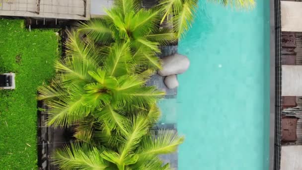 Tropik palmiye ağaçlarıyla dolu lüks sonsuzluk havuzunun hava aracı uçuş görüntüsü. Lüks villa, yüzme havuzu. Seyahat tatili — Stok video