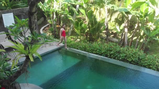 Luftaufnahme des Infinity-Pools auf der Villa mit tropischem Garten. Frau, die am Rande des Pools spaziert und in rotem Bikini und Hut den Blick auf den Dschungel genießt. Urlaubskonzept — Stockvideo