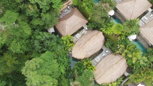 4k antenn för att flyga över ett vackert lyxhotell med halmtak villor och pooler i tropisk djungel och palmer. Lyxig villa, paviljong i skog, Ubud, Bali — Stockvideo