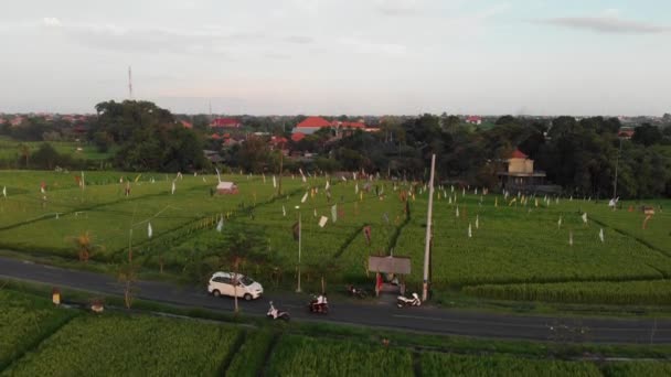 Luchtfoto drone vliegen over Rice Terrace met palmbomen en weg met motoren in landschap.Groen landschap van rijstvelden op sunseet Canggu, Bali, Indonesië. — Stockvideo