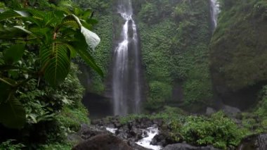 Sekumpul Şelalesi, Bali, Endonezya. Ormandaki şelalenin hava manzarası. Seyahat - Video