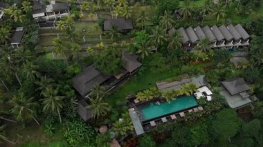 Tropik ormanlarda, palmiye ağaçlarında, pirinç tarlalarında saman çatı villaları ve havuzu olan lüks otelin yukarıdan görünüşü. Lüks villa, ormandaki pavyon, Ubud, Bali