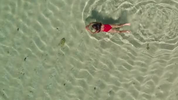 Widok z góry szczupłej młodej kobiety w czerwonym bikini pływającej w krystalicznie czystej wodzie pływającej i relaksującej w oceanie. Cieszymy się opalenizną. Koncepcja wakacyjna.Żyła powietrzna. Dron — Wideo stockowe