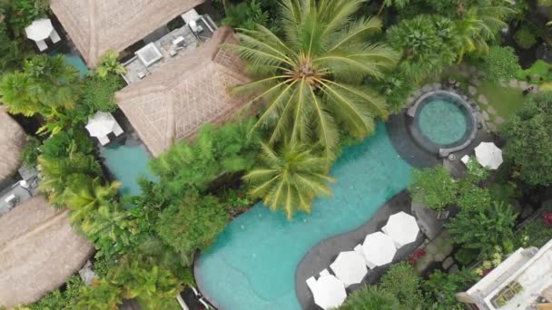 Drone going up. Aerial view of azure water in pools in luxury hotel with straw roof villas in tropical jungle and palm trees. Luxurious villa, pavilion in forest, Ubud, Bali — Stock Footage Drone going up. Aerial view of azure water in pools in luxury hotel with straw roof villas in tropical jungle and palm trees. Luxurious villa, pavilion in forest, Ubud, Bali Royalty Free Stock Video