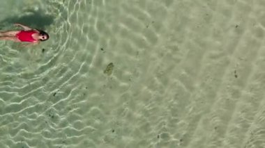 Kırmızı bikinili ince bir kadının kristal berrak suda yüzdüğü ve deniz sahilinde dinlendiği en güzel manzara. Güneşlenmenin tadını çıkarıyorum. Tatil kavramı. Aerial veiw. İHA