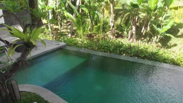 Veduta aerea della piscina Infinity su villa con giardino tropicale. Donna che cammina sul bordo della piscina e godersi la vista della giungla indossando bikini e cappello beige. Concetto di vacanza — Video Stock