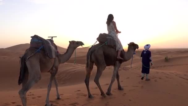 Turistická evropská žena na koni velbloud vedoucí s beduínem v modrém dresinku v písečných dunách v poušti Sahara při západu slunce, Maroko — Stock video