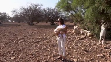 El ele tutuşan turist kadın Fas 'taki dallardan yiyerek Argan ağacının yanında keçi yavrusu besliyor..