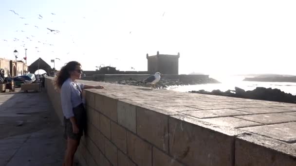 Genç Avrupalı mutlu kadın, Essaouira, Fas limanında arka planda uçan martılarla deniz kenarında yürümekten hoşlanıyor — Stok video