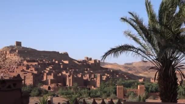 Uitzicht op historisch complex van Ait Ben Haddou en palmboom, Marokko in de buurt van Ouarzazate. Oud bakstenen dorp met kleihuizen in de woestijn. Zonnige dag — Stockvideo