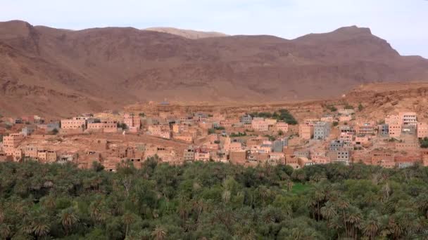 Vista panorámica de la ciudad abandonada con casas de arcilla en Marruecos sin gente y oasis verde con palmeras, montañas de arcilla roja en el día soleado — Vídeos de Stock