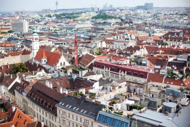St. Stephen Katedrali, Viyana, Avusturya 'dan eski kasaba manzarası.