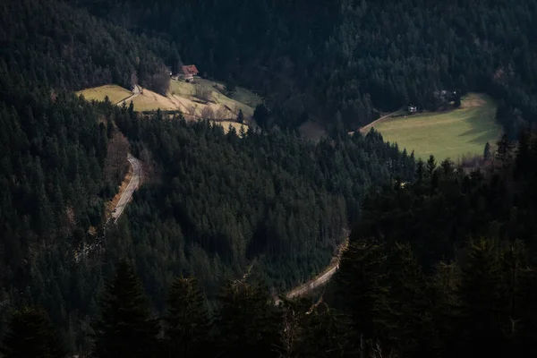 Vista Superior Del Dron Una Casa Madera Abandonada Prado Verde —  Fotos de Stock