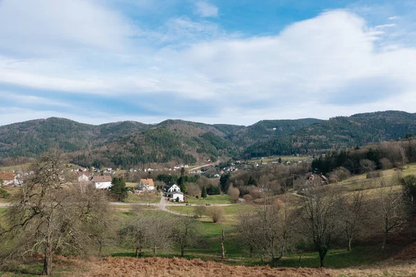 Vista Panorámica Pueblo Los Alpes Alemania Primavera Con Verdes Prados —  Fotos de Stock