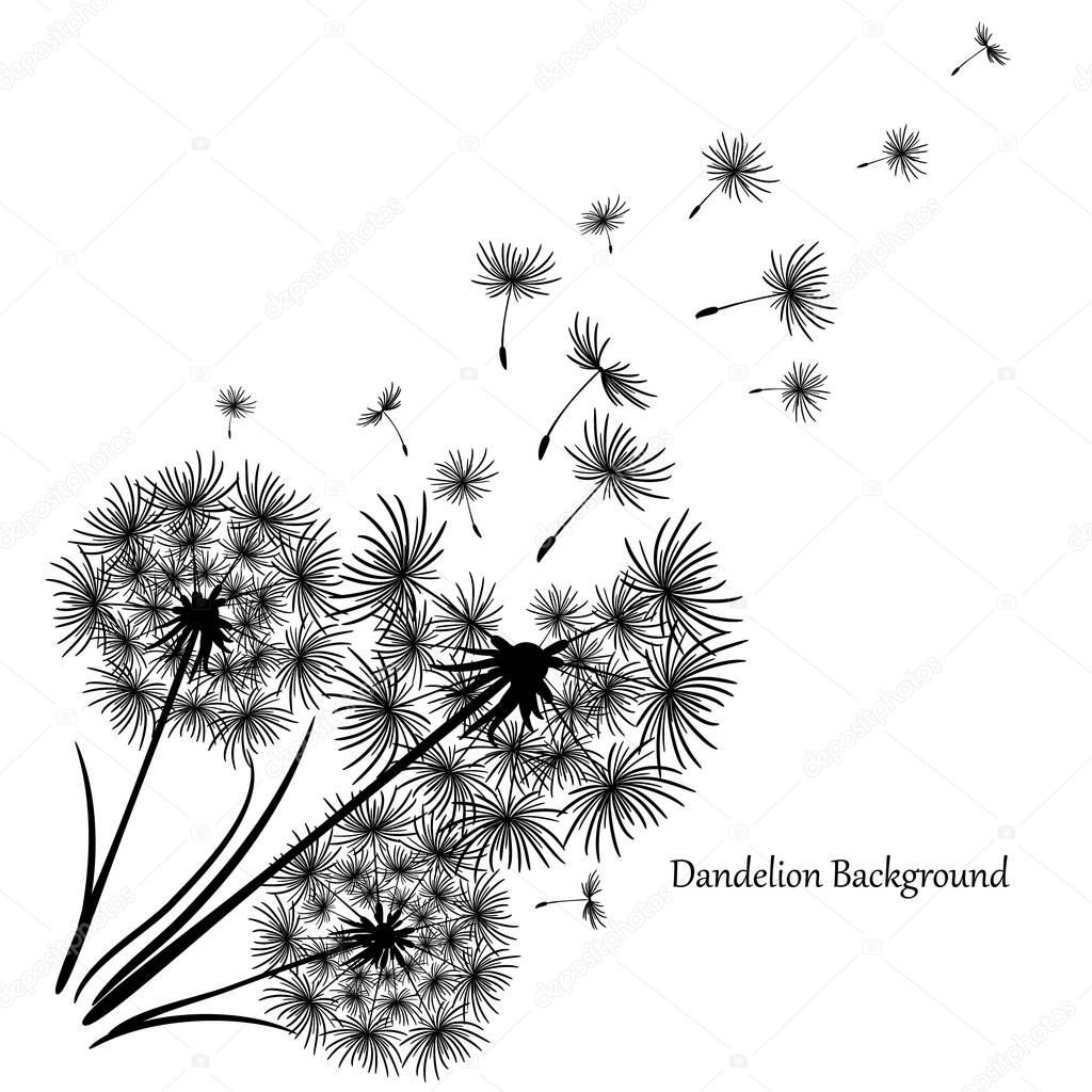 Vintage dandelion, great design for any purposes. Dandelion vector. Spring blossom background. Beautiful icon with black dandelion on white background. Flower background.