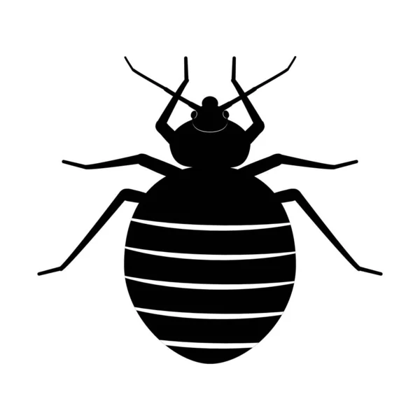 臭虫床白色背景上昆虫的黑色轮廓 臭虫病媒图解 虫咬伤危险的象征 — 图库矢量图片
