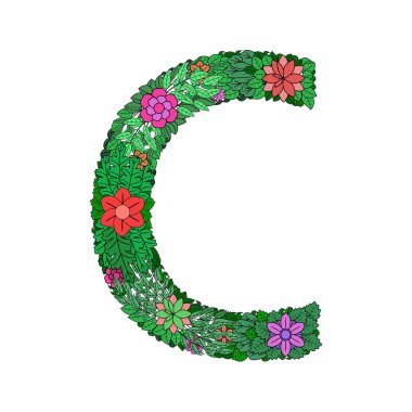 C harfi - beyaz arkaplanda renkli çiçek alfabesinin parlak elementi. Çiçeklerden, dallardan ve yapraklardan yapılmış. Vektörde çiçek yayı ABC elementi.