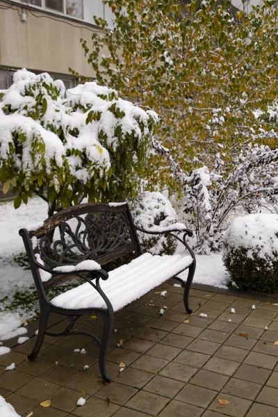 Bench in the Park. First snow. Trees in November.