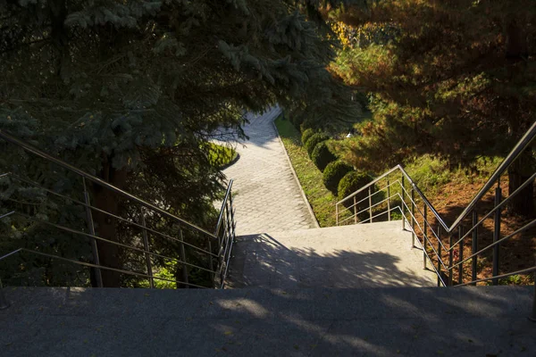 Merdivenler taş basamaklar, sonbaharda ağaçların gölgeleri, şehir ortamı..