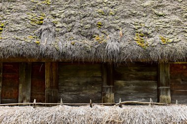 Kamış çatı ile geleneksel ev