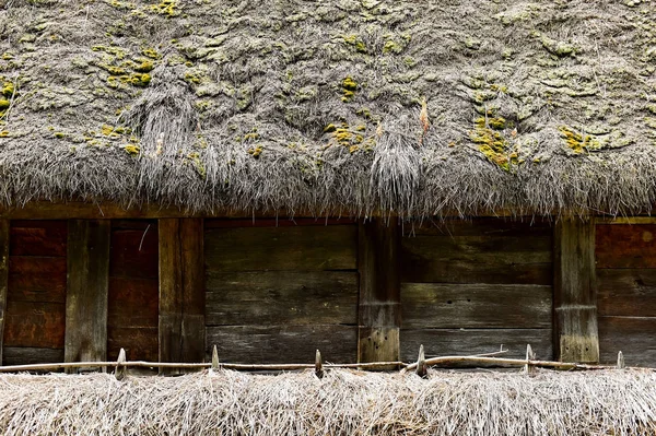 Tradycyjny dom z dachem reed — Zdjęcie stockowe